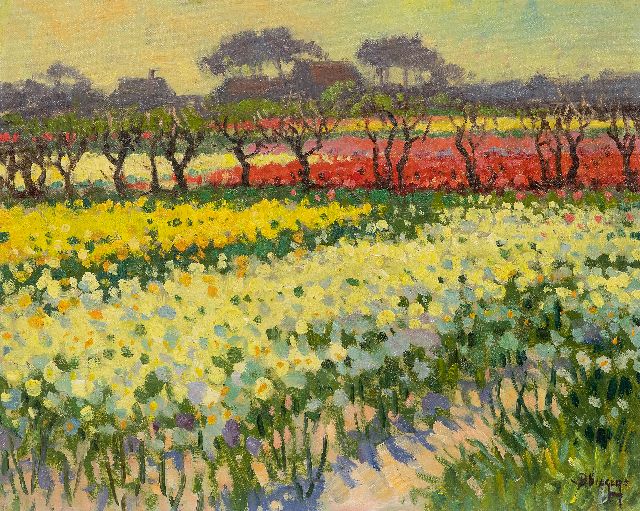 Ben Viegers | Narcissus- and tulip fields in Bakkum, North Holland, oil on canvas, 40.6 x 50.6 cm, signed l.r.