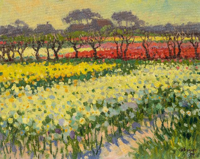 Viegers B.P.  | Narcissus- and tulip fields in Bakkum, North Holland, oil on canvas 40.6 x 50.6 cm, signed l.r.