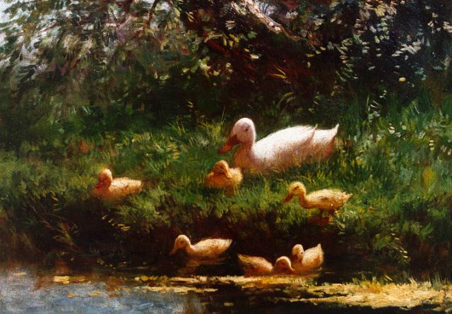 Constant Artz | Duck with ducklings watering, oil on panel, 17.5 x 23.5 cm, signed l.l.