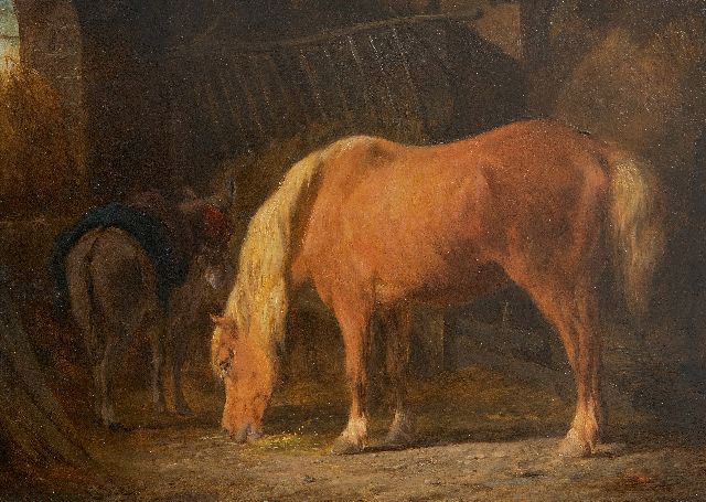 Os P.F. van | Horse and donkey in stable, oil on panel 16.3 x 22.4 cm, signed l.l.