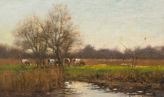 Goosen F.J.  | Cows in a river landscape, oil on canvas 30.2 x 50.3 cm, signed l.l.