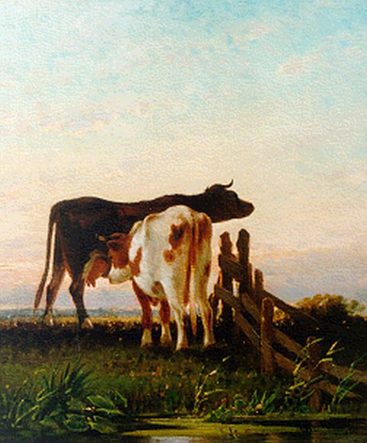 Cornelis Westerbeek | Cows by a fence, oil on panel, 42.5 x 36.5 cm, signed l.r. and dated '81