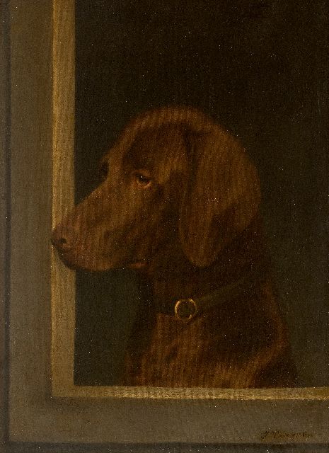 Julius Hamburger | Portrait of a hunting dog, looking to the left, oil on canvas, 52.6 x 42.5 cm, signed l.r. and dated 1883
