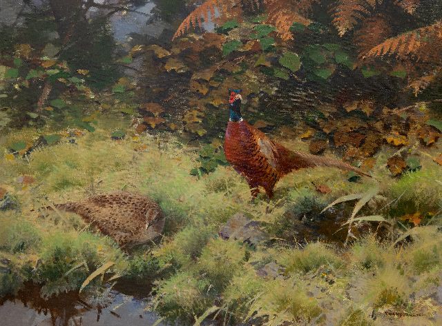 Hem P. van der | Pheasant pair, oil on canvas 74.8 x 104.0 cm, signed l.r.