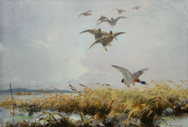 Piet van der Hem | Duck flight, oil on canvas, 65.8 x 96.4 cm, signed l.r.