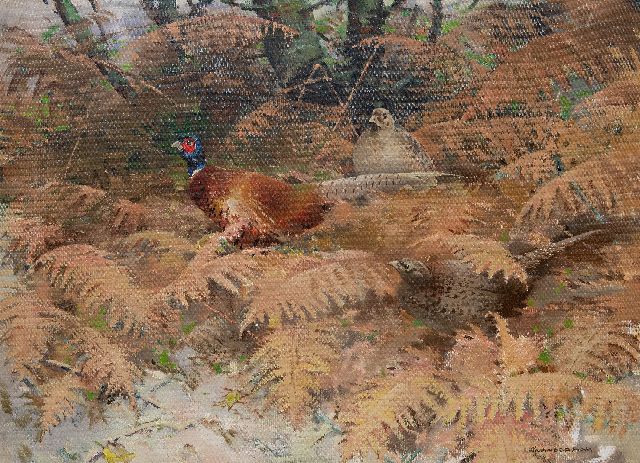 Piet van der Hem | Pheasant rooster with two hens between ferns, oil on canvas, 74.1 x 98.2 cm, signed l.r.