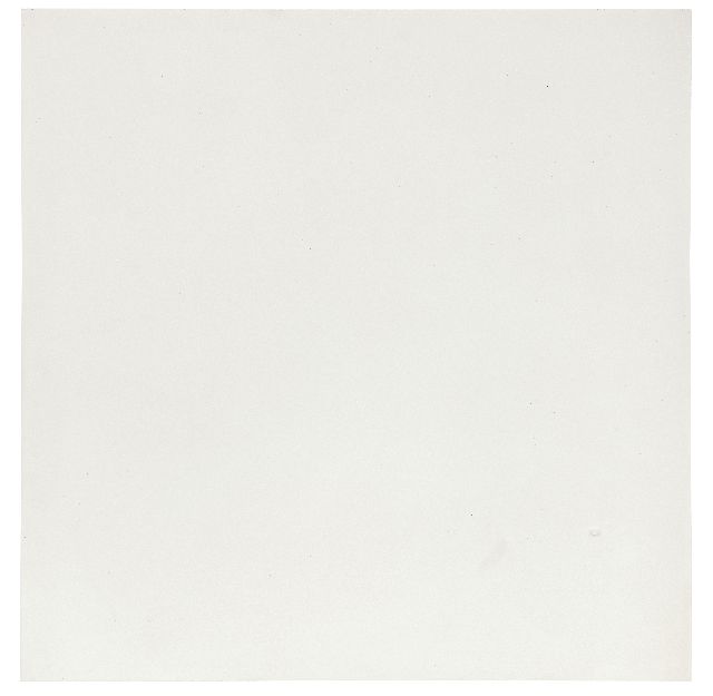 herman de vries | random objectivations (no V'74-106), plastic relief, 39.5 x 39.5 cm, signed on the reverse and to be dated 1974