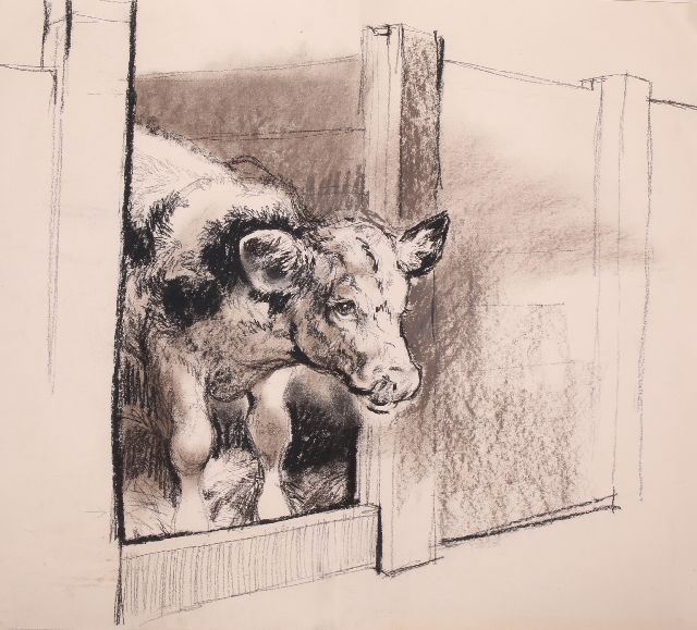 Rien Poortvliet | Calf, charcoal on paper, 50.0 x 64.9 cm