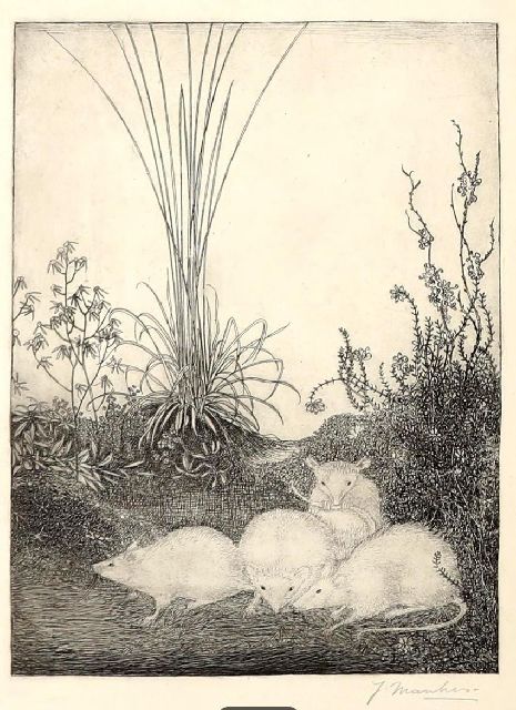 Mankes J.  | Four mice, etching 23.6 x 15.8 cm, signed l.r. and executed 1916