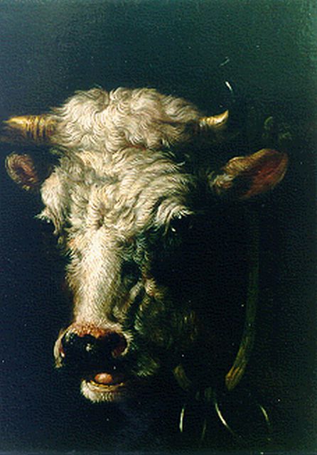 Albertus Verhoesen | A bull's head, oil on panel, 16.8 x 14.0 cm