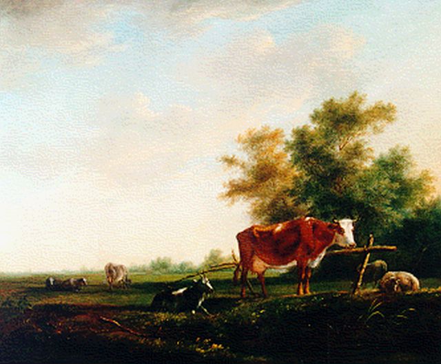 Janson J.  | Cattle in a landscape, oil on panel 29.8 x 35.5 cm, signed l.r.