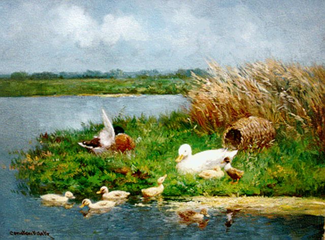 Artz C.D.L.  | A duck family in a polder landscape, oil on canvas 30.4 x 40.5 cm, signed l.l.