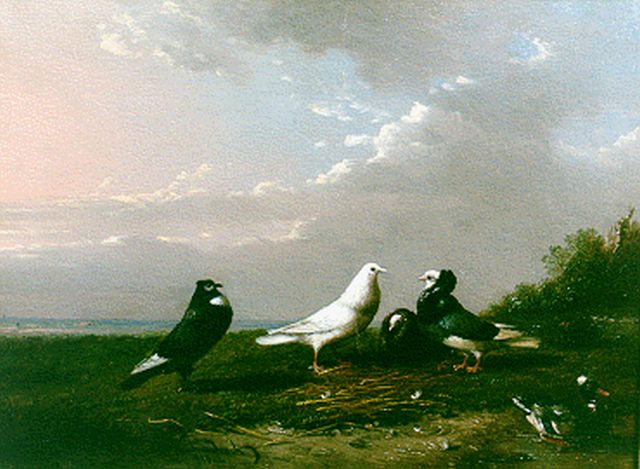 Frans van Severdonck | A landscape with pigeons and a duck, oil on panel, 16.7 x 22.7 cm, signed l.l.
