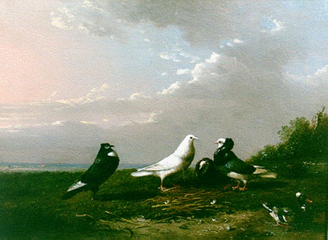 Frans van Severdonck | A landscape with pigeons and a duck, oil on panel, 16.7 x 22.7 cm, signed l.l.