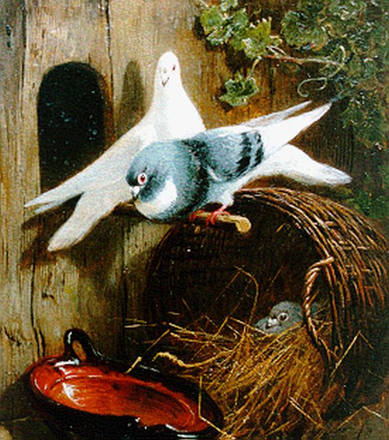 Henriette Ronner | Pigeons, oil on panel, 19.4 x 15.8 cm, signed l.r.
