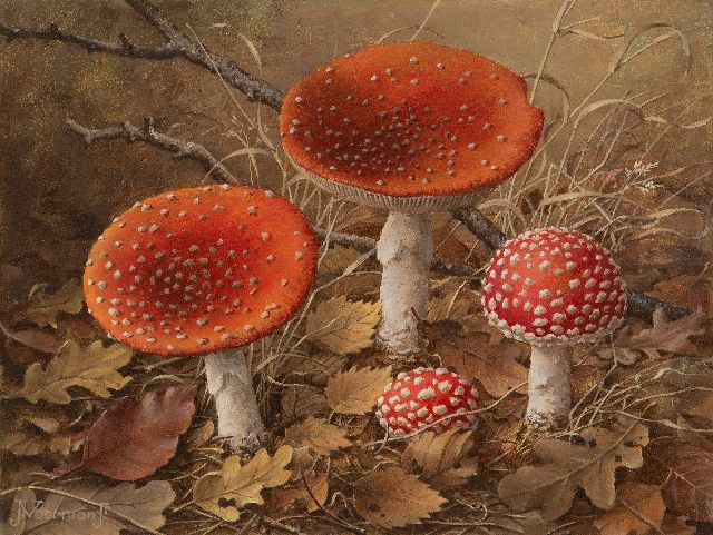 Jan Voerman jr. | Fly agaric mushrooms, oil on canvas laid down on board, 22.5 x 30.1 cm, signed l.l.