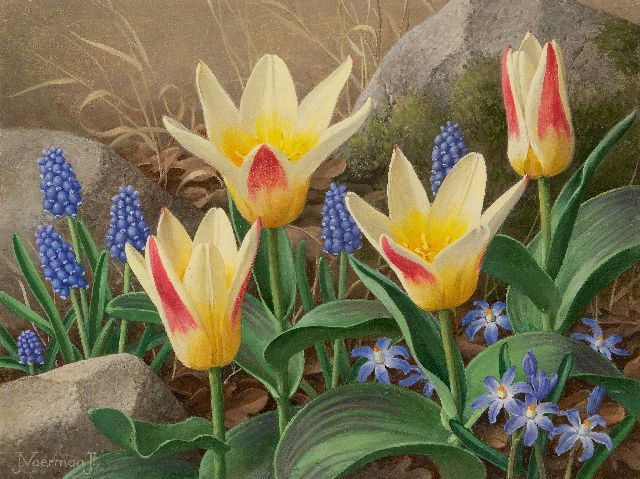 Jan Voerman jr. | Tulips, blue grape hyacinths and scilla, oil on canvas laid down on board, 22.4 x 29.9 cm, signed l.l.