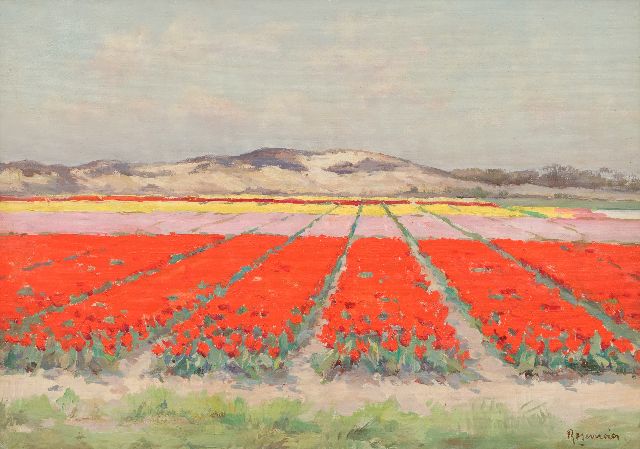 Alex Rosemeier | Bulb fields near Wassenaar, oil on canvas, 35.1 x 50.0 cm, signed l.r. and reserved