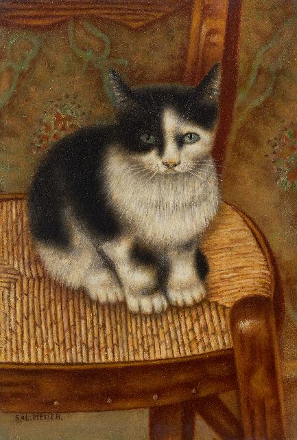 Sal Meijer | Cat on a chair, oil on panel, 32.0 x 22.2 cm, signed l.l.