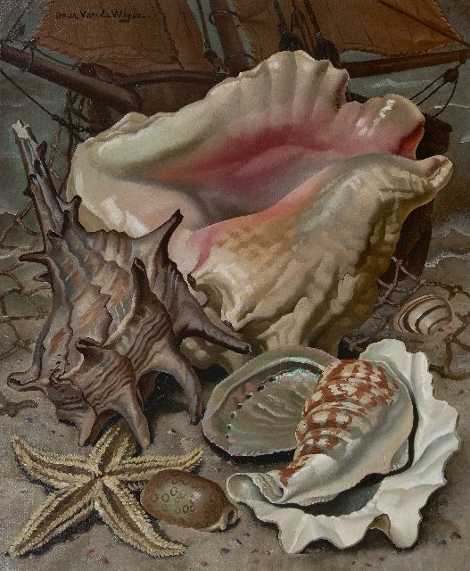 Omer van de Weyer | Still life with exotic shells, oil on canvas, 60.2 x 50.3 cm, signed u.l.
