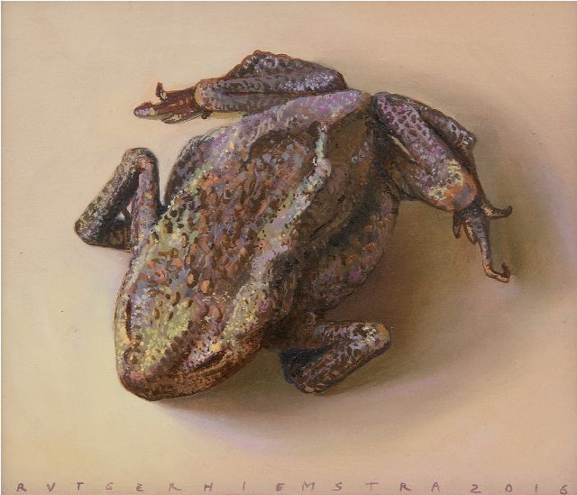 Rutger Hiemstra | Dried up toad, oil on panel, 10.6 x 12.5 cm, signed l.m. and dated 2016