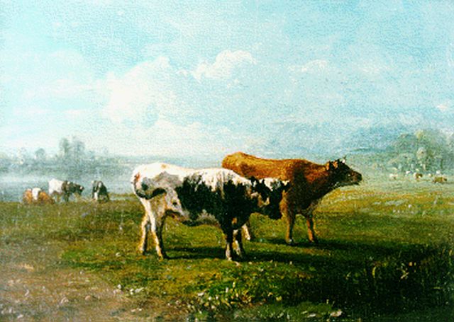 Tom J.B.  | Cows in a meadow, oil on panel 13.3 x 18.4 cm, signed l.l.