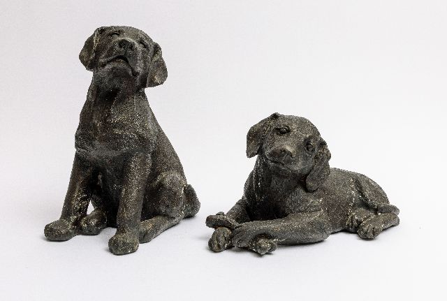 Onbekend | Two Retriever pups