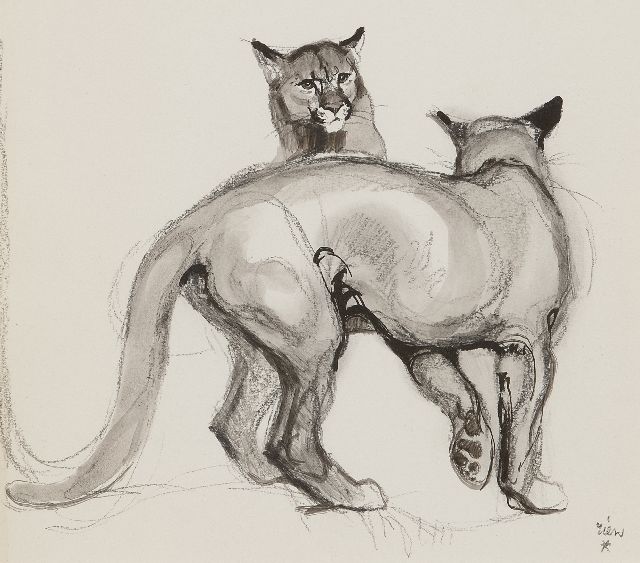 Rien Poortvliet | Playing panthers, chalk and Indian ink on paper, 21.0 x 23.5 cm, signed l.r.