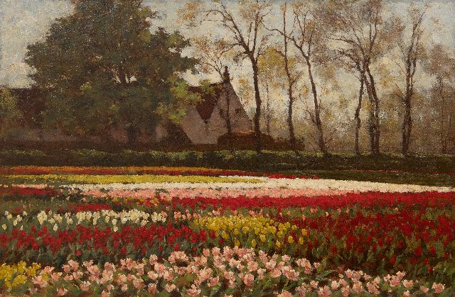 Anton Koster | Blooming tulip fields, oil on canvas, 53.5 x 81.9 cm, signed l.r.
