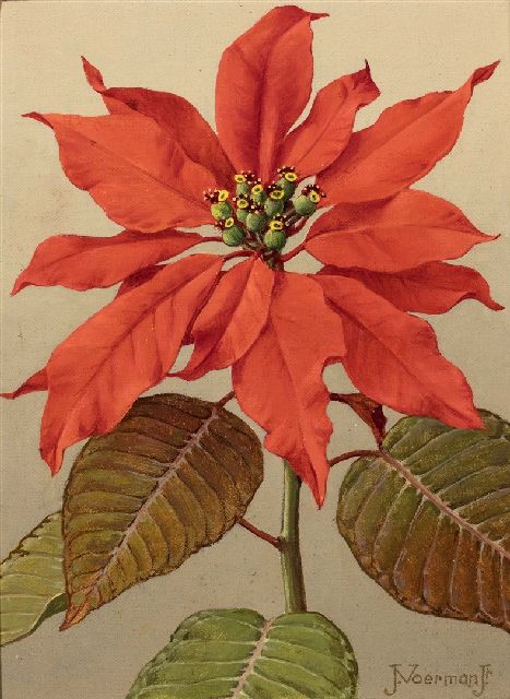 Jan Voerman jr. | -, oil on canvas, 23.0 x 16.0 cm, signed l.r.