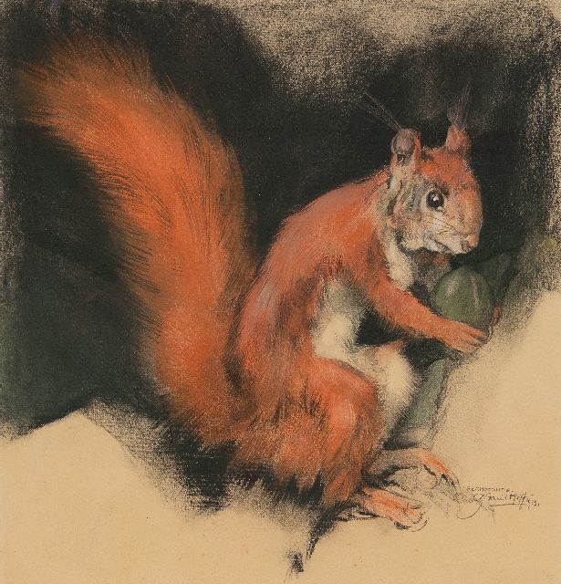 Adriaan van 't Hoff | Squirrel, charcoal and pastel on paper, 28.2 x 27.2 cm, signed l.r. and dated 1923