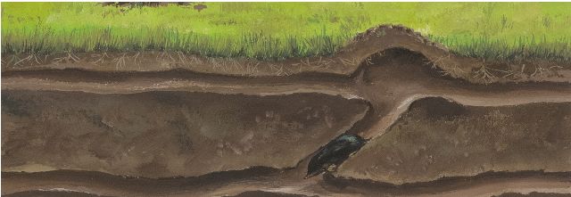 Rien Poortvliet | Mole tunnels: the ground worker in action, watercolour on paper, 6.2 x 17.5 cm, verkocht