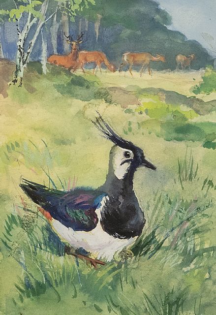 Poortvliet R.  | Breeding Northern Lapwing at the Hoge Veluwe, gouache on paper 12.8 x 8.2 cm