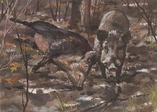 Rien Poortvliet | Zwei Wildschweine, Hoge Veluwe, gouache on paper, 13.2 x 17.5 cm