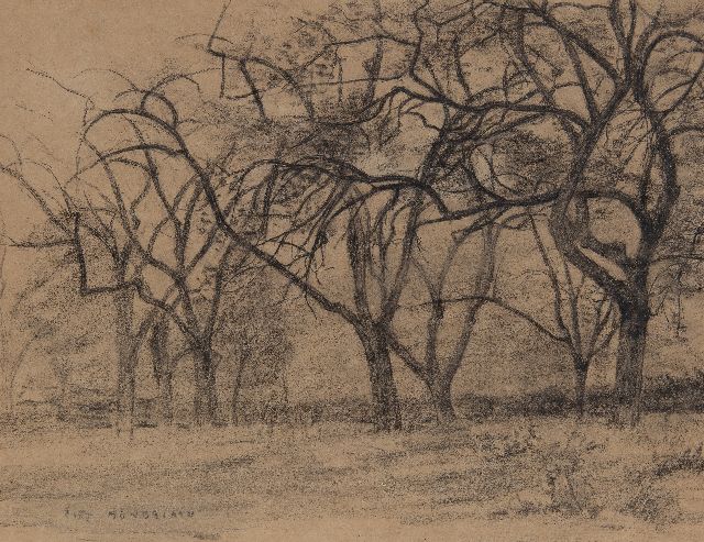 Mondriaan P.C.  | Group of trees, black chalk on paper 33.3 x 43.6 cm, signed l.l. and executed ca. 1902-1905