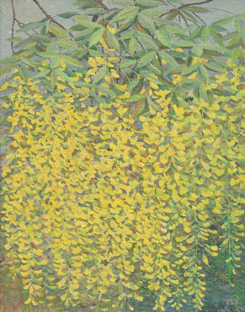 Briedé J.  | Blooming Wisteria, oil on canvas 48.6 x 38.6 cm, signed l.r. and dated 1948