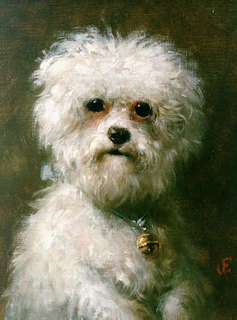 Eerelman O.  | A white poodle, oil on canvas 33.0 x 25.3 cm, signed l.r.