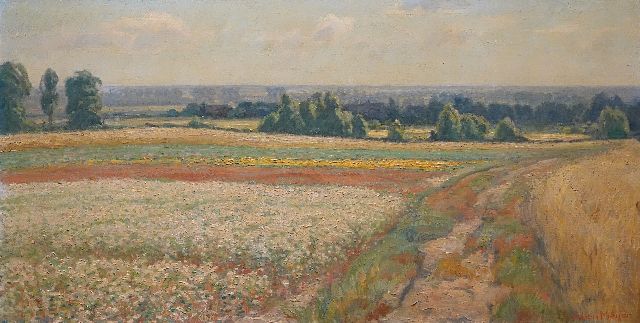 Johan Meijer | Summer landscape, oil on canvas, 44.5 x 84.3 cm, signed l.r.