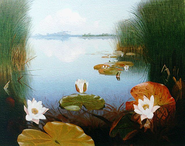 Smorenberg D.  | A lake with waterlilies, oil on canvas 54.4 x 69.1 cm, signed l.r.