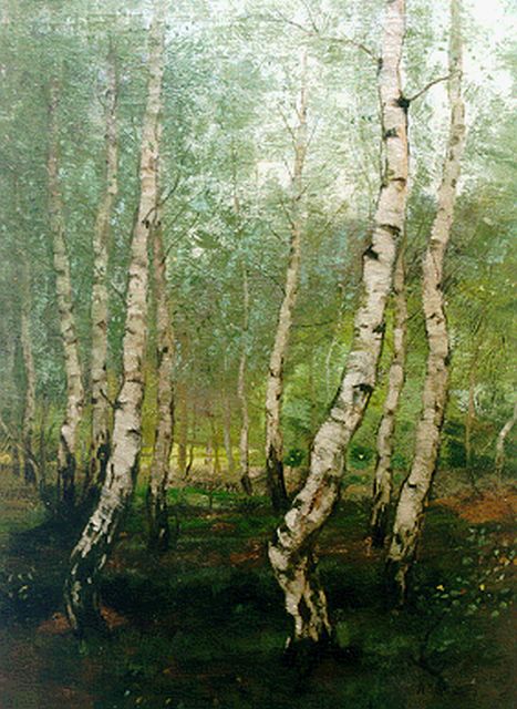 Arnold Marc Gorter | Birches, oil on canvas, 70.4 x 54.0 cm, signed l.r.