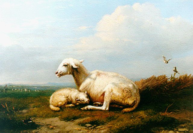 Verboeckhoven E.J.  | A sheep and lamb, oil on panel 12.1 x 15.2 cm, signed l.l. and dated 1845