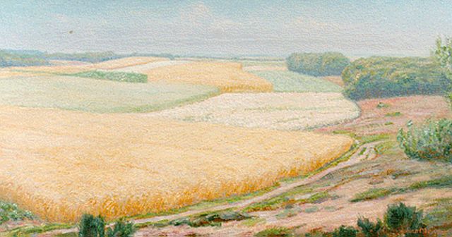 Johan Meijer | A summer landscape, oil on canvas, 45.0 x 84.4 cm, signed l.r.
