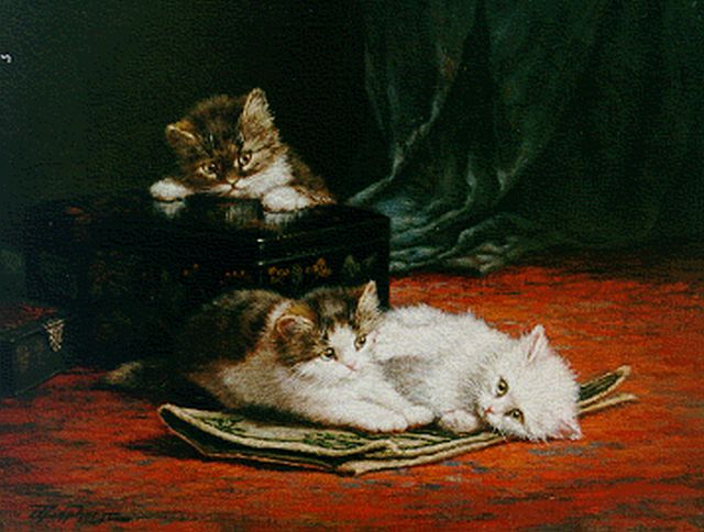 Cornelis Raaphorst | Kittens playing, oil on canvas, 40.6 x 50.2 cm, signed l.l.