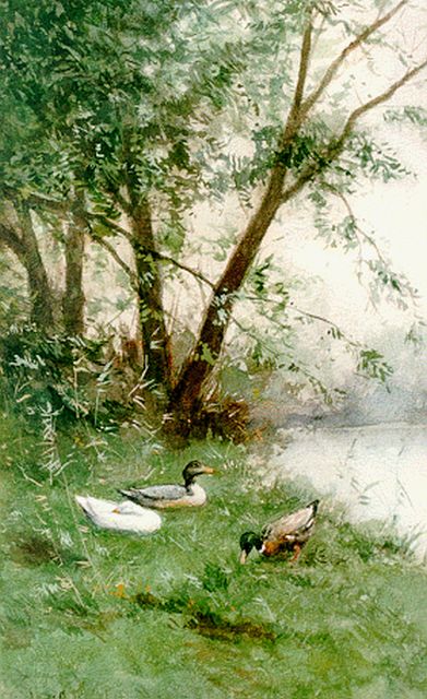 Constant Artz | Ducks on the riverbank, watercolour on paper, 37.8 x 25.0 cm, signed l.l.