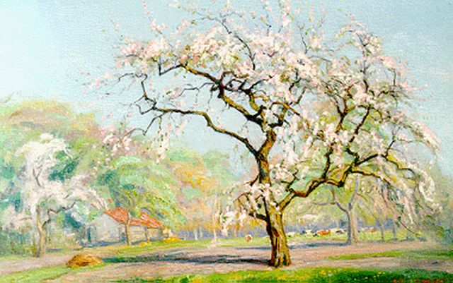 Meijer J.  | An orchard in blossom, oil on canvas 40.4 x 59.7 cm, signed l.r.