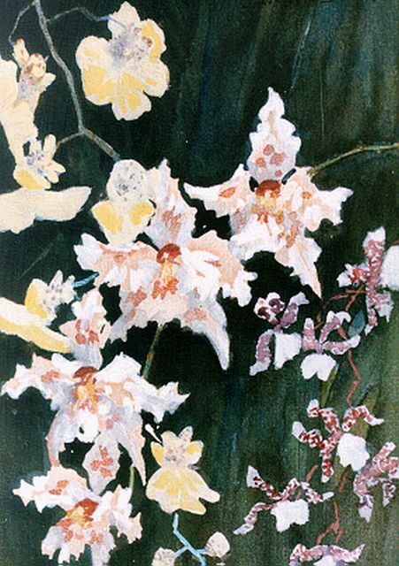 Louis van Soest | Orchids, watercolour on paper, 18.8 x 13.2 cm, signed u.r.