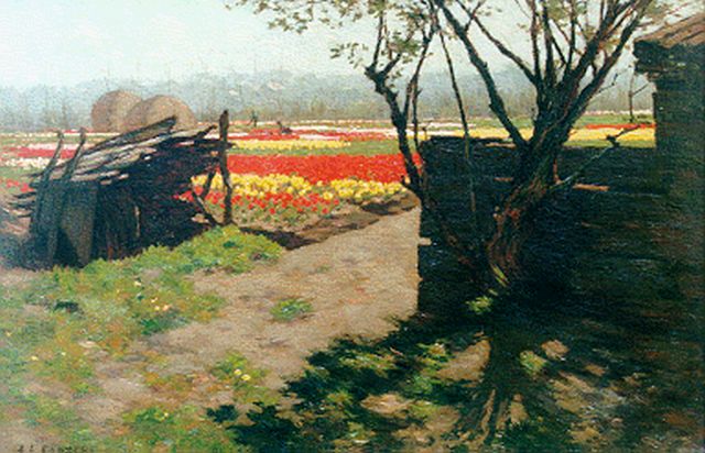 Koster A.L.  | Bulb fields, oil on canvas 30.4 x 44.9 cm, signed l.l.