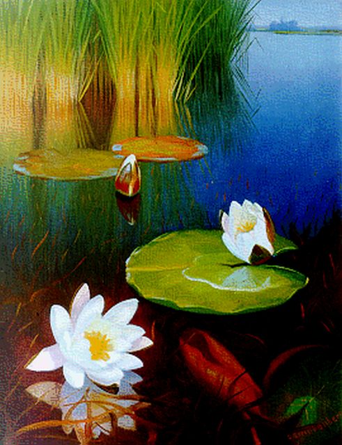 Smorenberg D.  | The Loosdrechtse Plassen with water lilies, oil on canvas 50.5 x 39.0 cm, signed l.r.