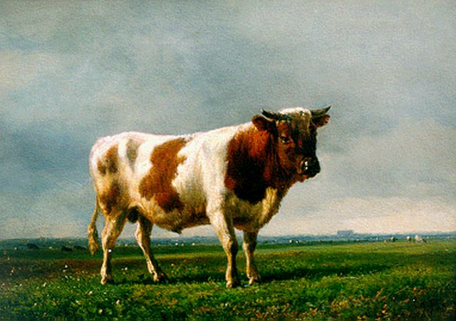 Tom J.B.  | A red-and-white bull, oil on panel 22.0 x 30.3 cm, signed l.r. and on the reverse