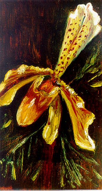 Mies Maris | Orchids, oil on paper laid down on painter's board, 22.0 x 12.6 cm
